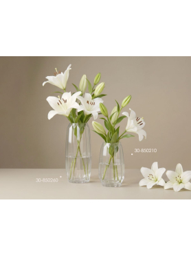 Ваза для цветов стеклянная PERFECTO LINEA Beloved