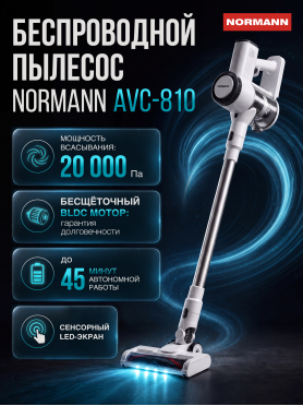 Пылесос NORMANN AVC-810 